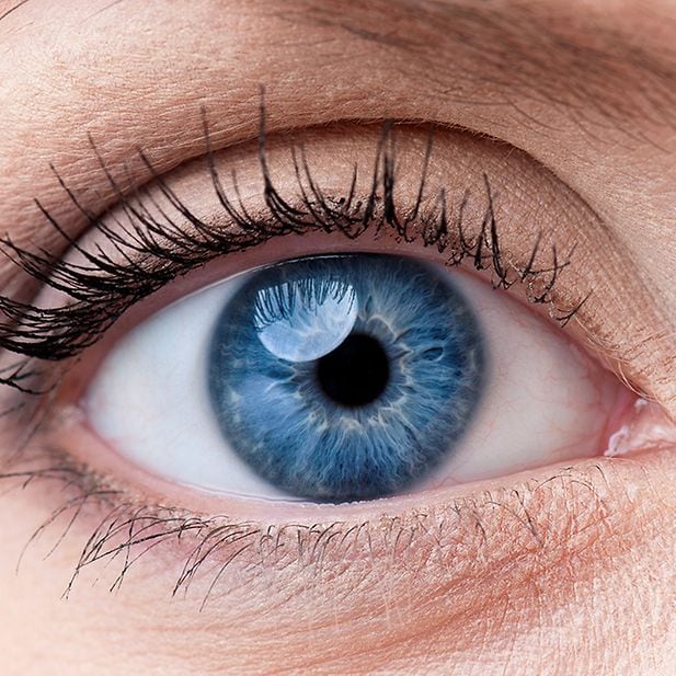 The_most_attractive_eye_color_in_the_world_row_4