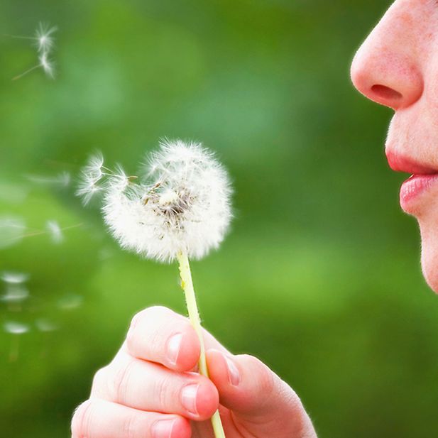 Lenses_and_hay_fever_row_3