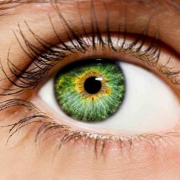 Where_does_your_eye_color_come_from?_row_3
