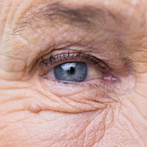 Where_does_your_eye_color_come_from?_row_8