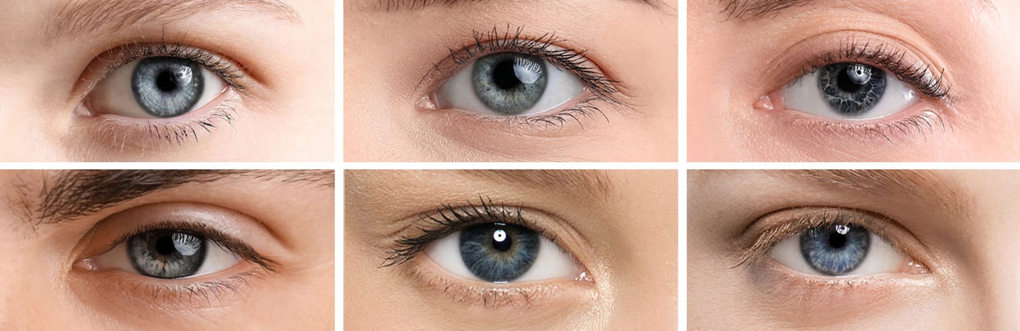 ww_grey_lenses_row_1